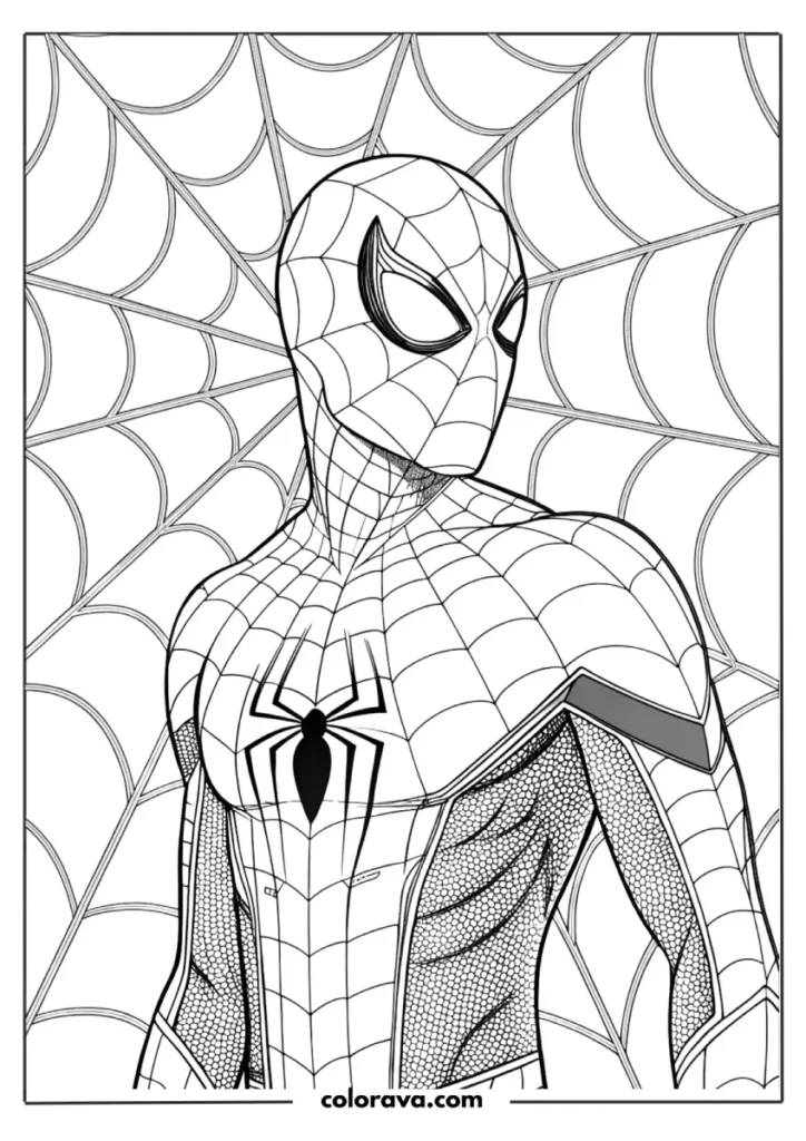 Spider-Man in a web background.