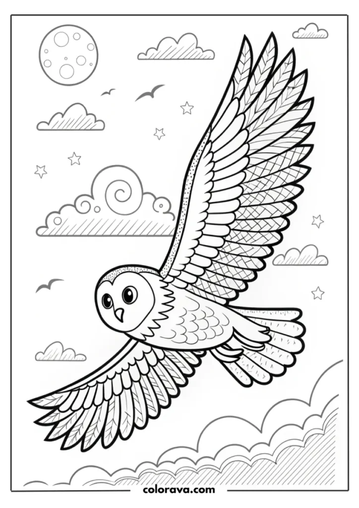 owl coloring pages