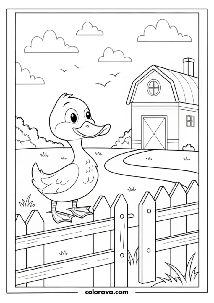 Duck Coloring Pages Duck Coloring Pages
